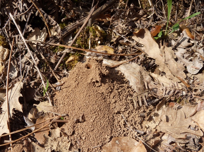 Valle del Farma e Stagno della Troscia: luoghi meravigliosi!